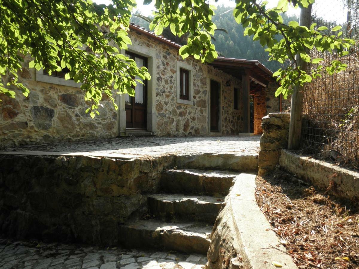Vila Casa Velha Figueiro Dos Vinhos Exteriér fotografie